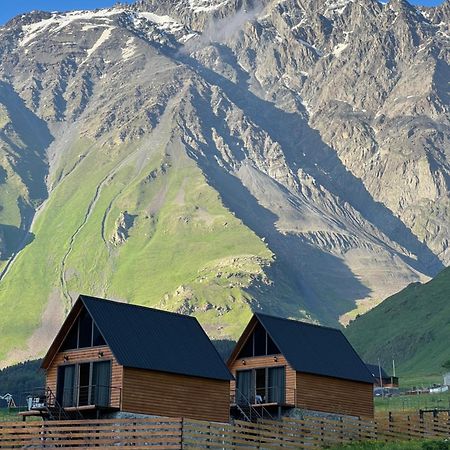 Traveler'S Cottages In Kazbegi Екстериор снимка