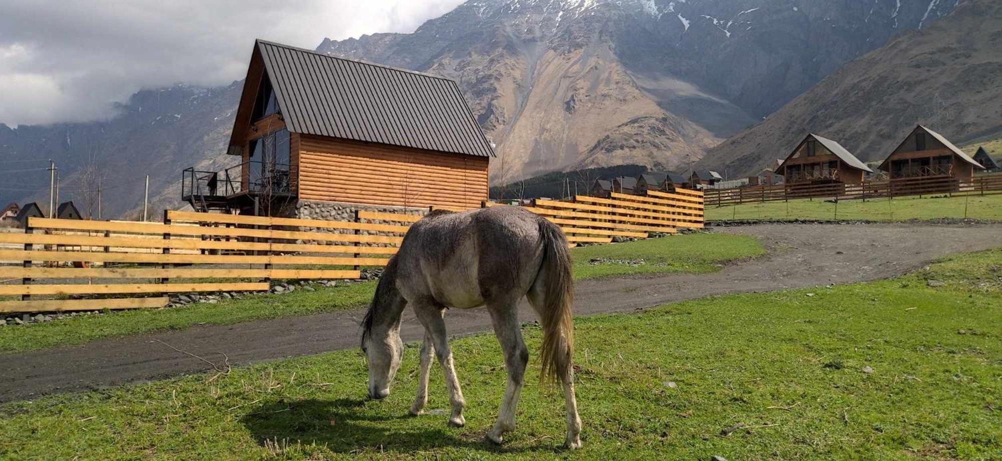 Traveler'S Cottages In Kazbegi Екстериор снимка